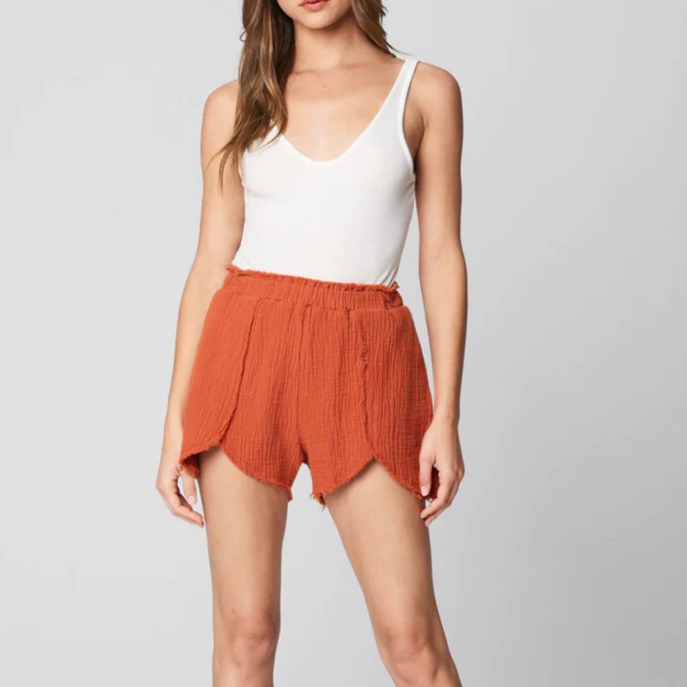 Blank NYC Sunset Escape Shorts